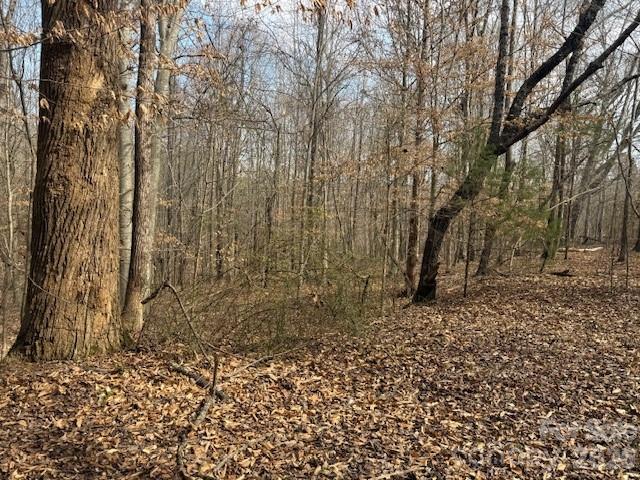 2837 Blacksburg Road Earl, NC 28073 - Photo 25 of 29