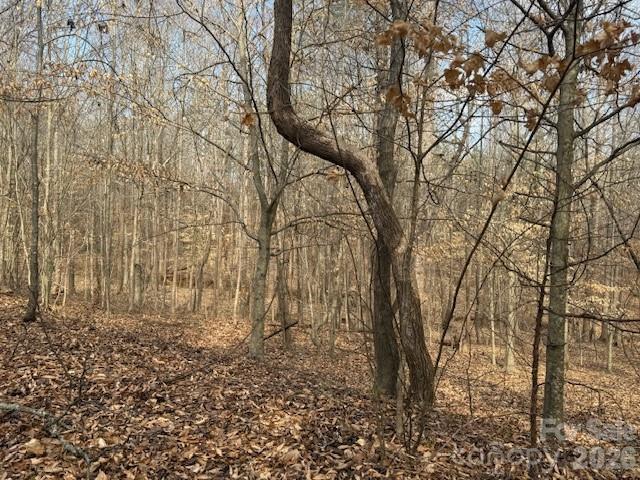 2837 Blacksburg Road Earl, NC 28073 - Photo 26 of 29