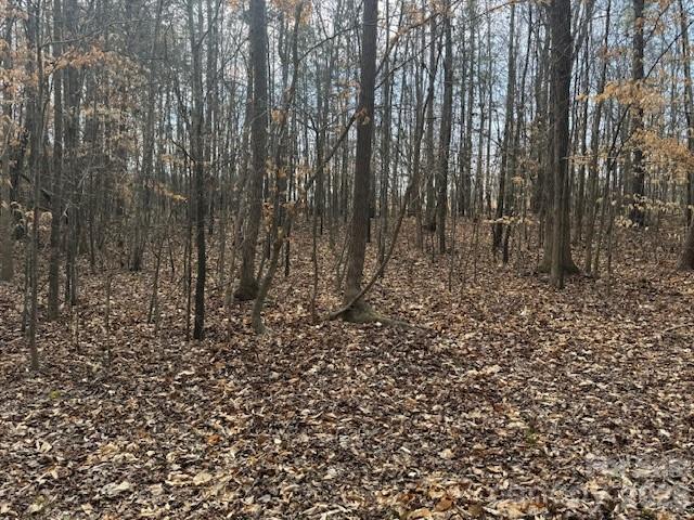 2837 Blacksburg Road Earl, NC 28073 - Photo 27 of 29