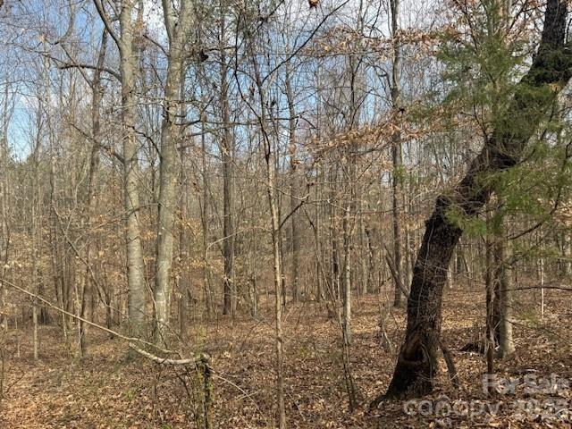 2837 Blacksburg Road Earl, NC 28073 - Photo 28 of 29