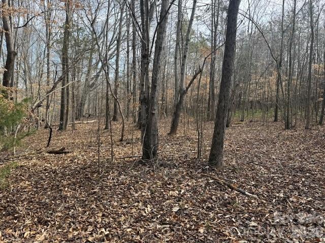 2837 Blacksburg Road Earl, NC 28073 - Photo 29 of 29