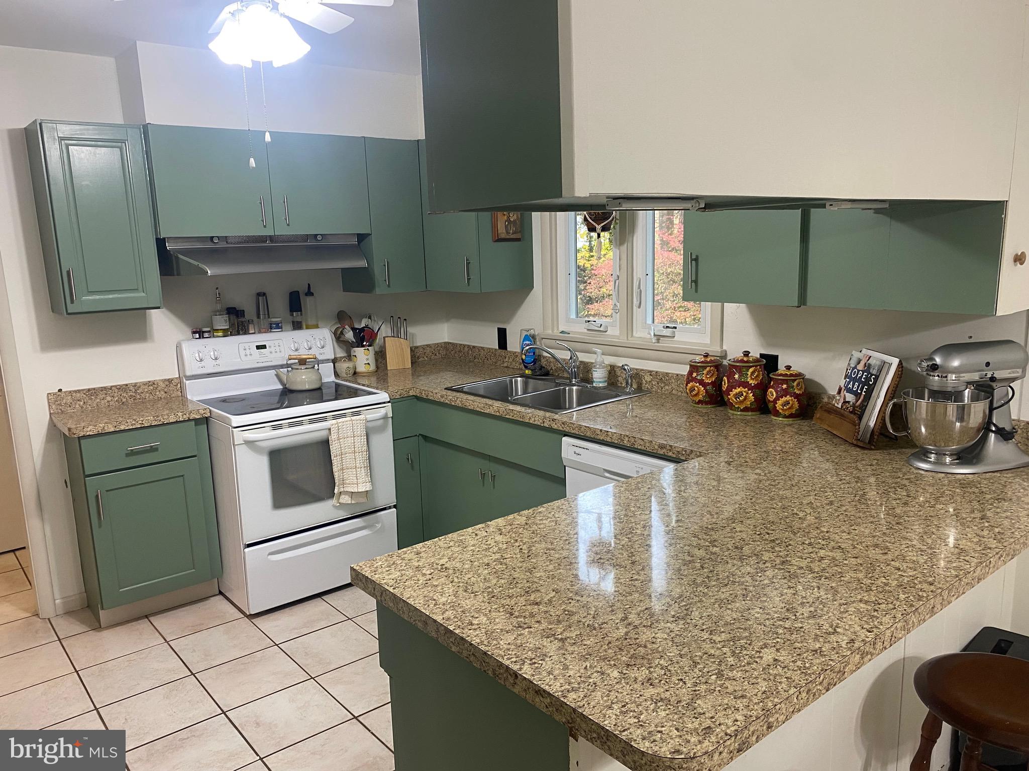 117 West Adams Street Georgetown, DE 19947 - Photo 17 of 20 a kitchen with a stove a sink and a microwave