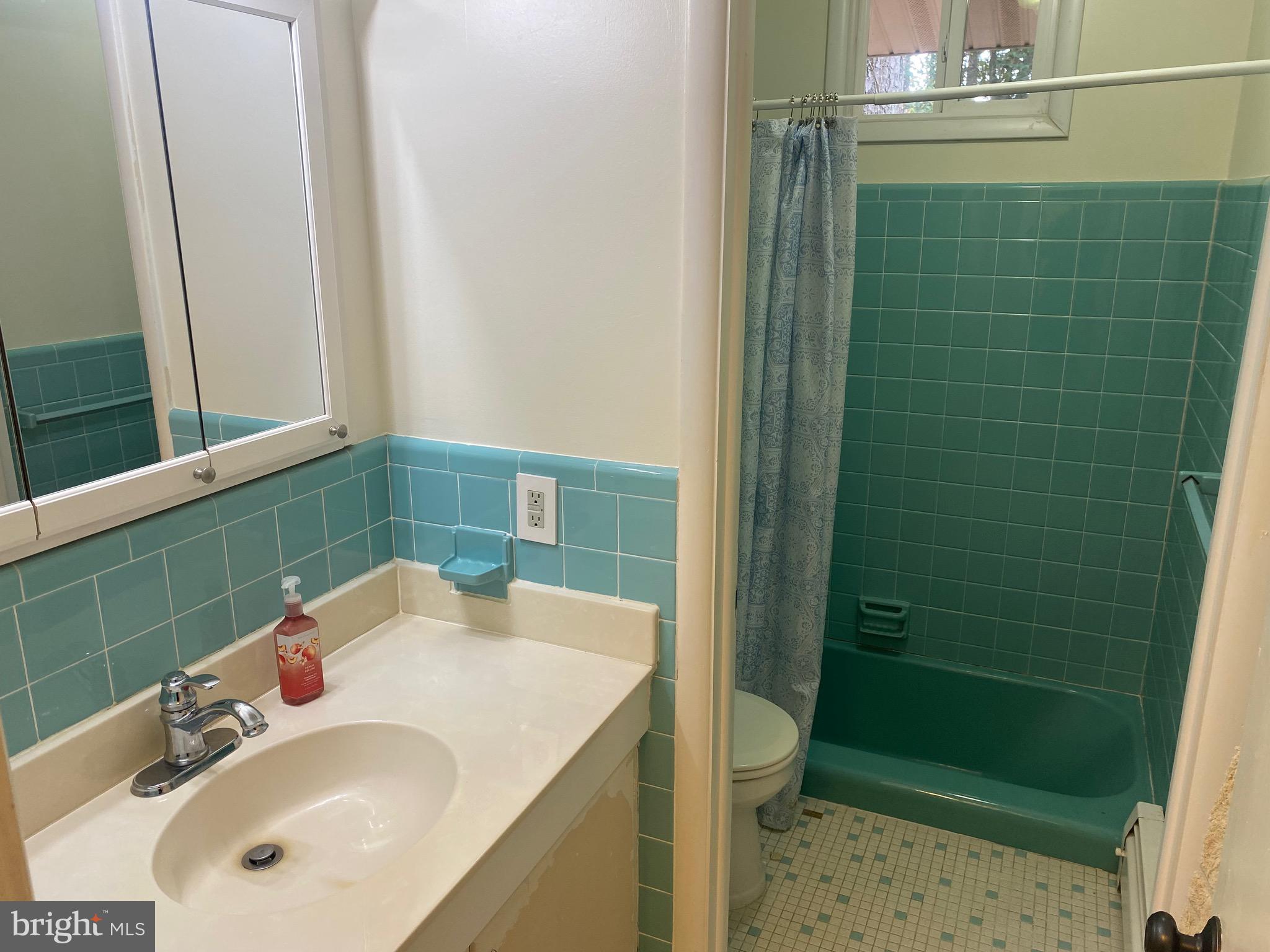 117 West Adams Street Georgetown, DE 19947 - Photo 18 of 20 a bathroom with a sink and a mirror
