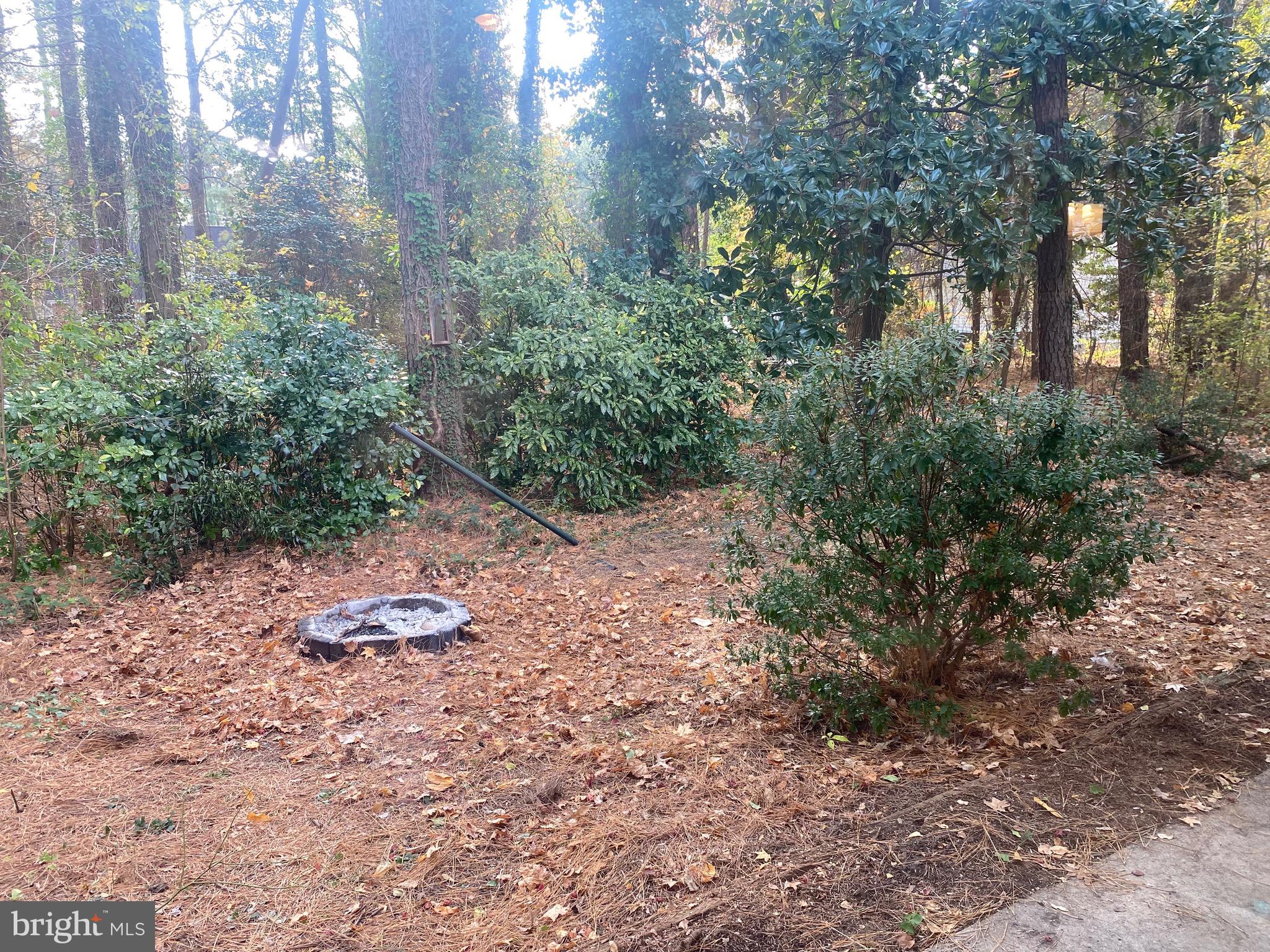 117 West Adams Street Georgetown, DE 19947 - Photo 19 of 20 a view of a plants with trees