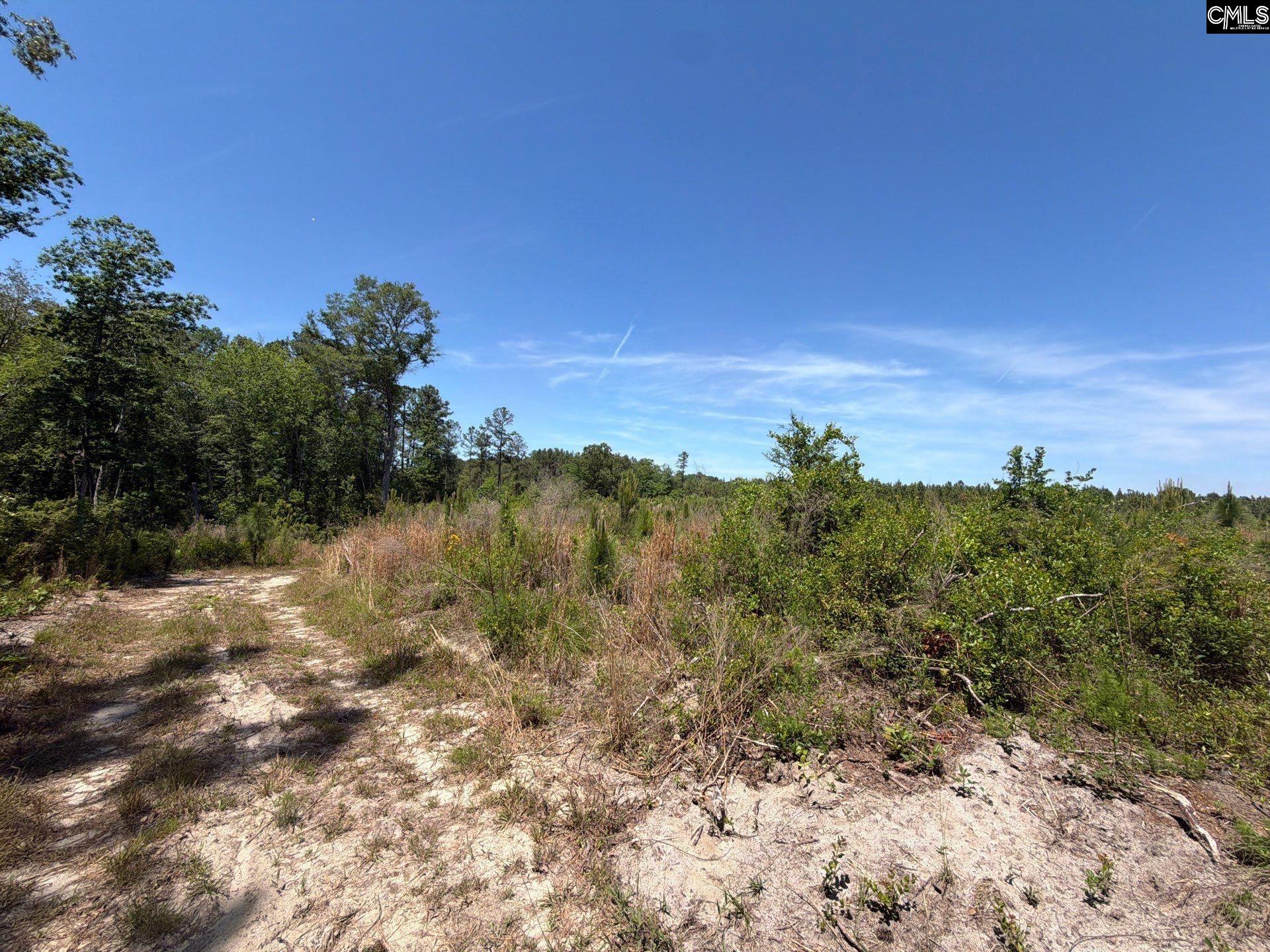 1 Holstein Road Monetta, SC 29105 - Photo 26 of 36