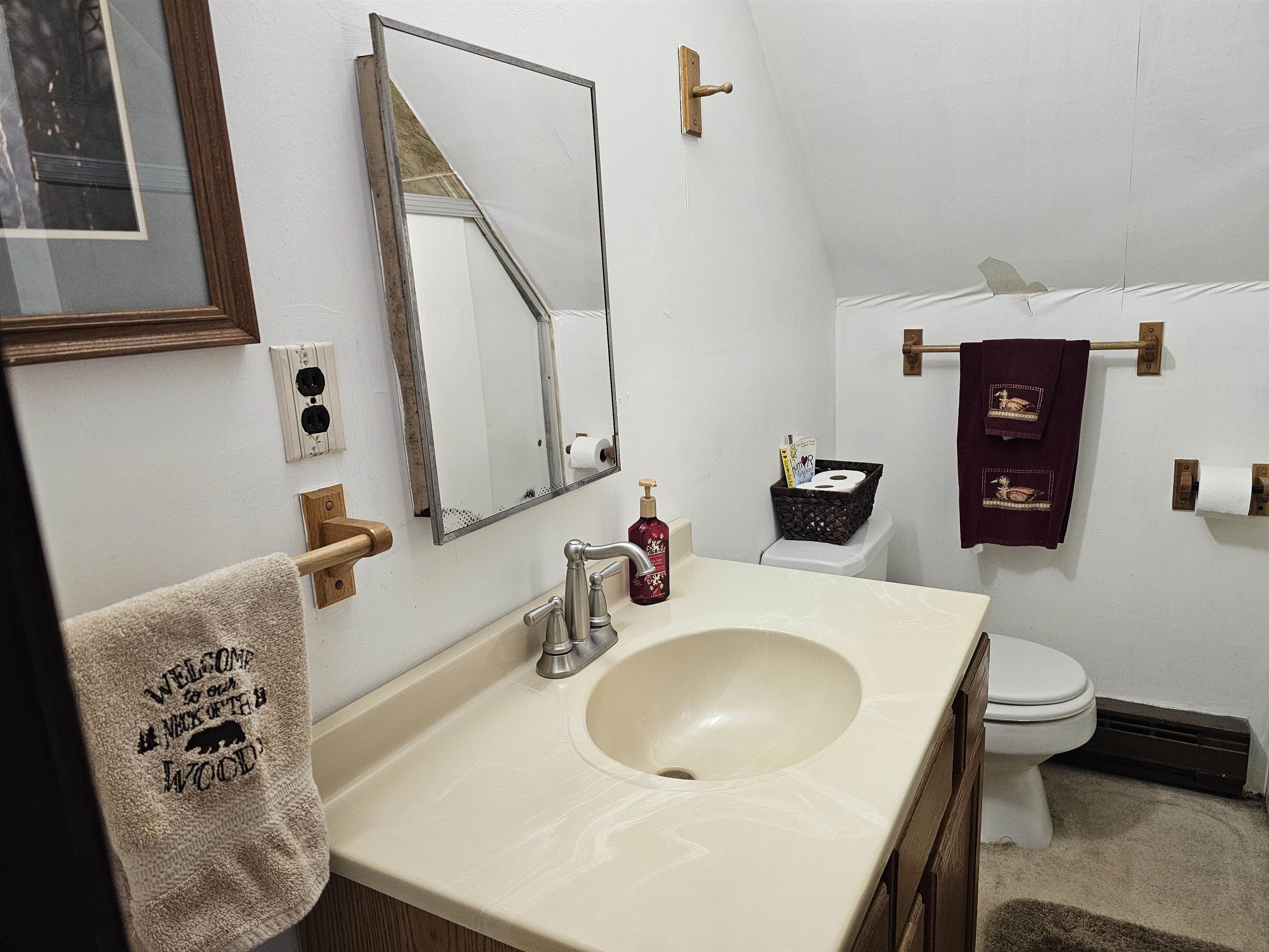 6160 Rollway Road South Branch, MI 48761 - Photo 9 of 49