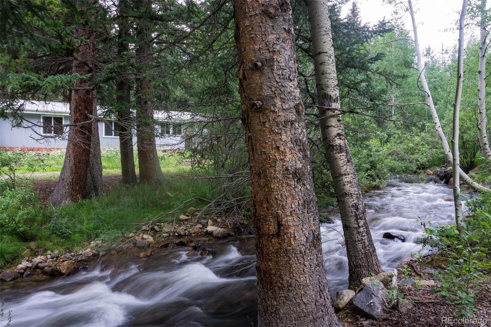 3117 Fall River Road Idaho Springs, CO 80452 - Photo 4 of 29 Gallery Image 4
