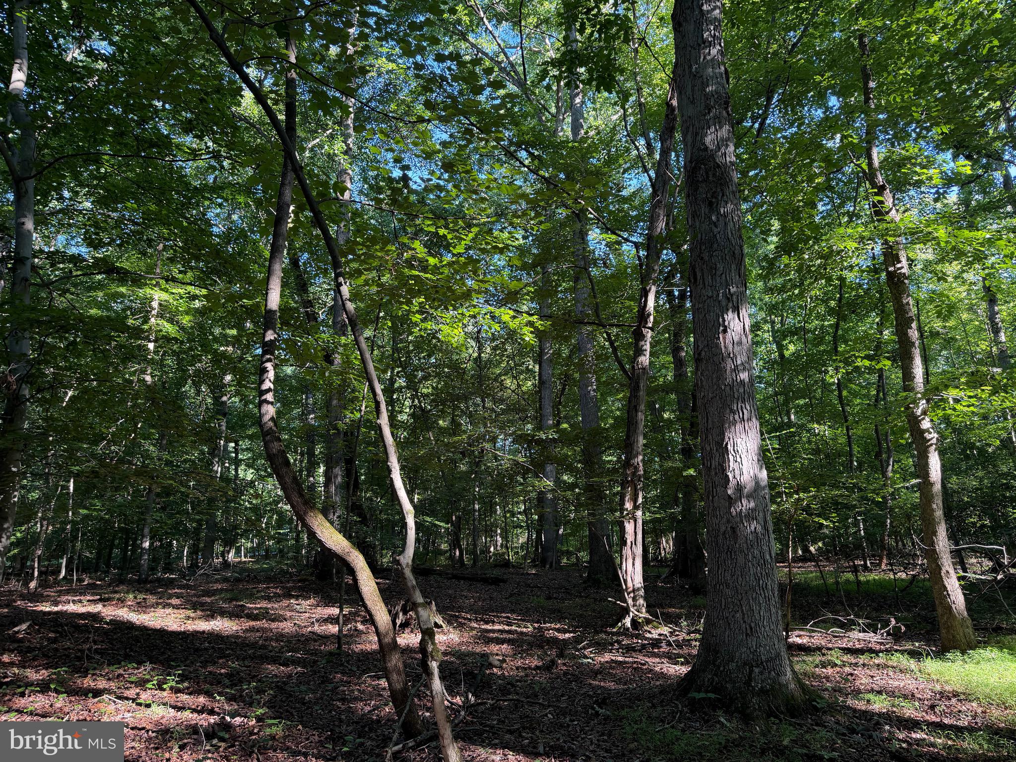 0 Rock Springs Road Conowingo, MD 21918 - Photo 60 of 79