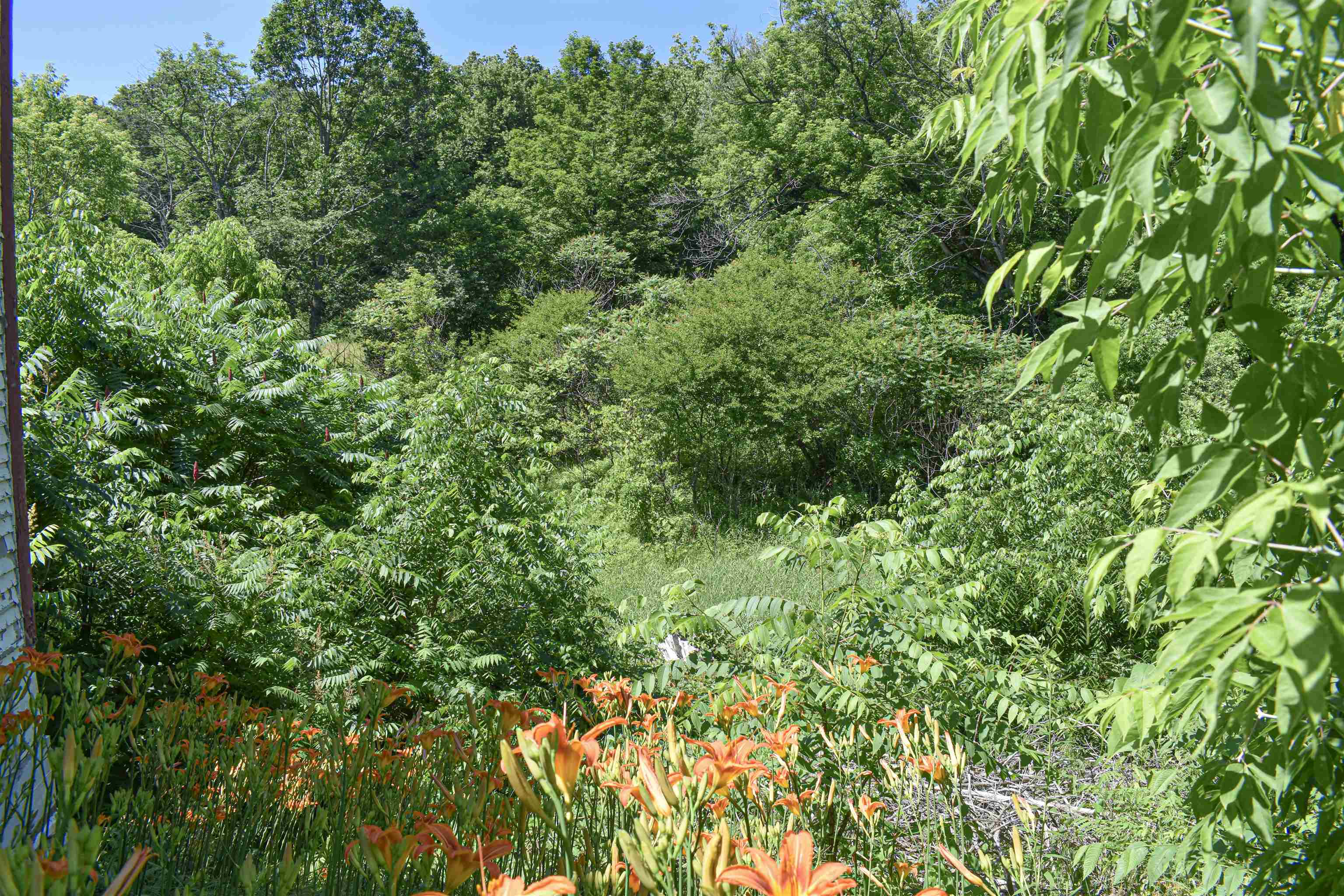 71 Maple Street Brandon, VT 05733 - Photo 15 of 18