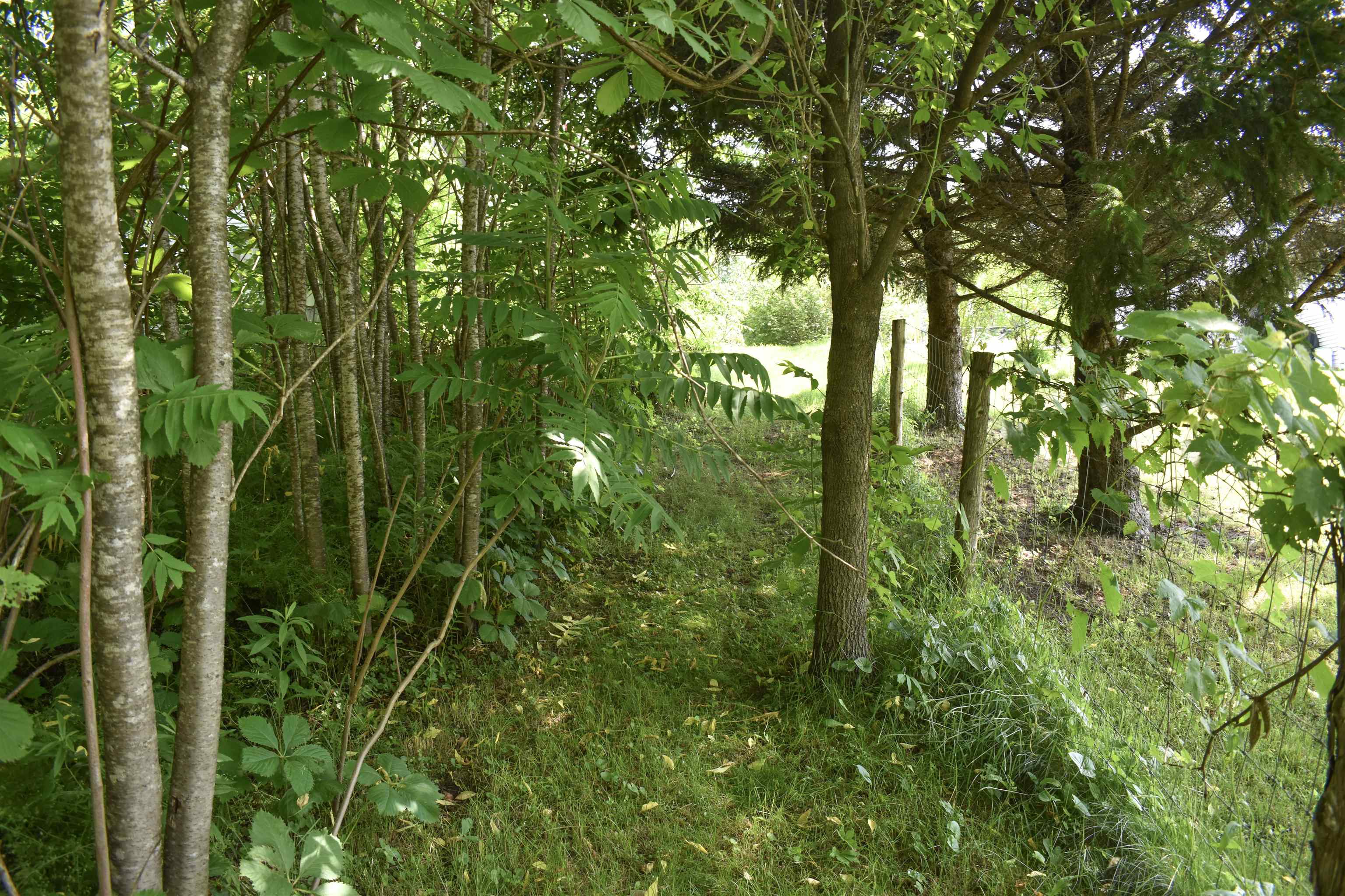 71 Maple Street Brandon, VT 05733 - Photo 5 of 18