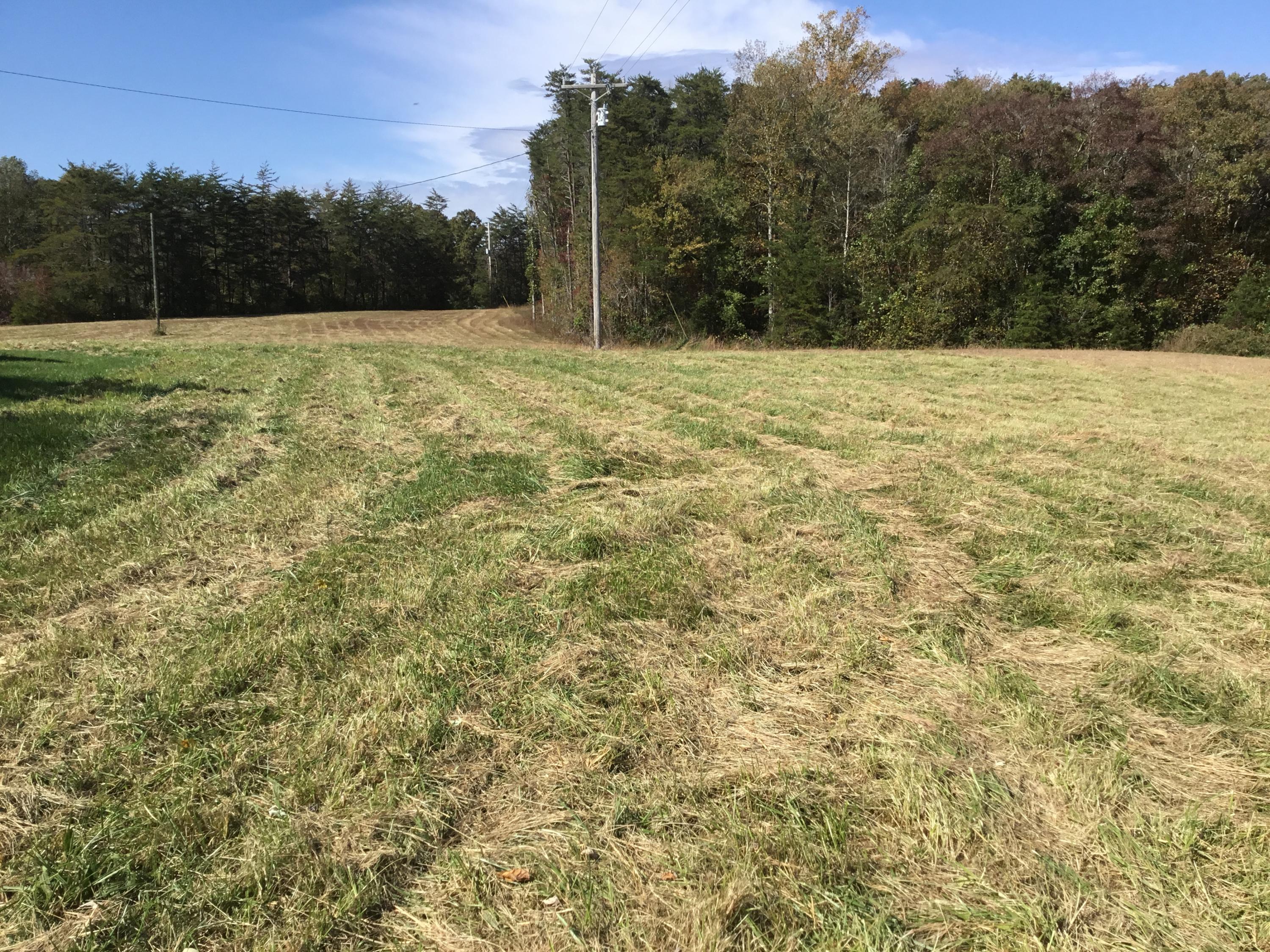 7259 Brockdell Road Pikeville, TN 37367 - Photo 21 of 23 IMG_3826