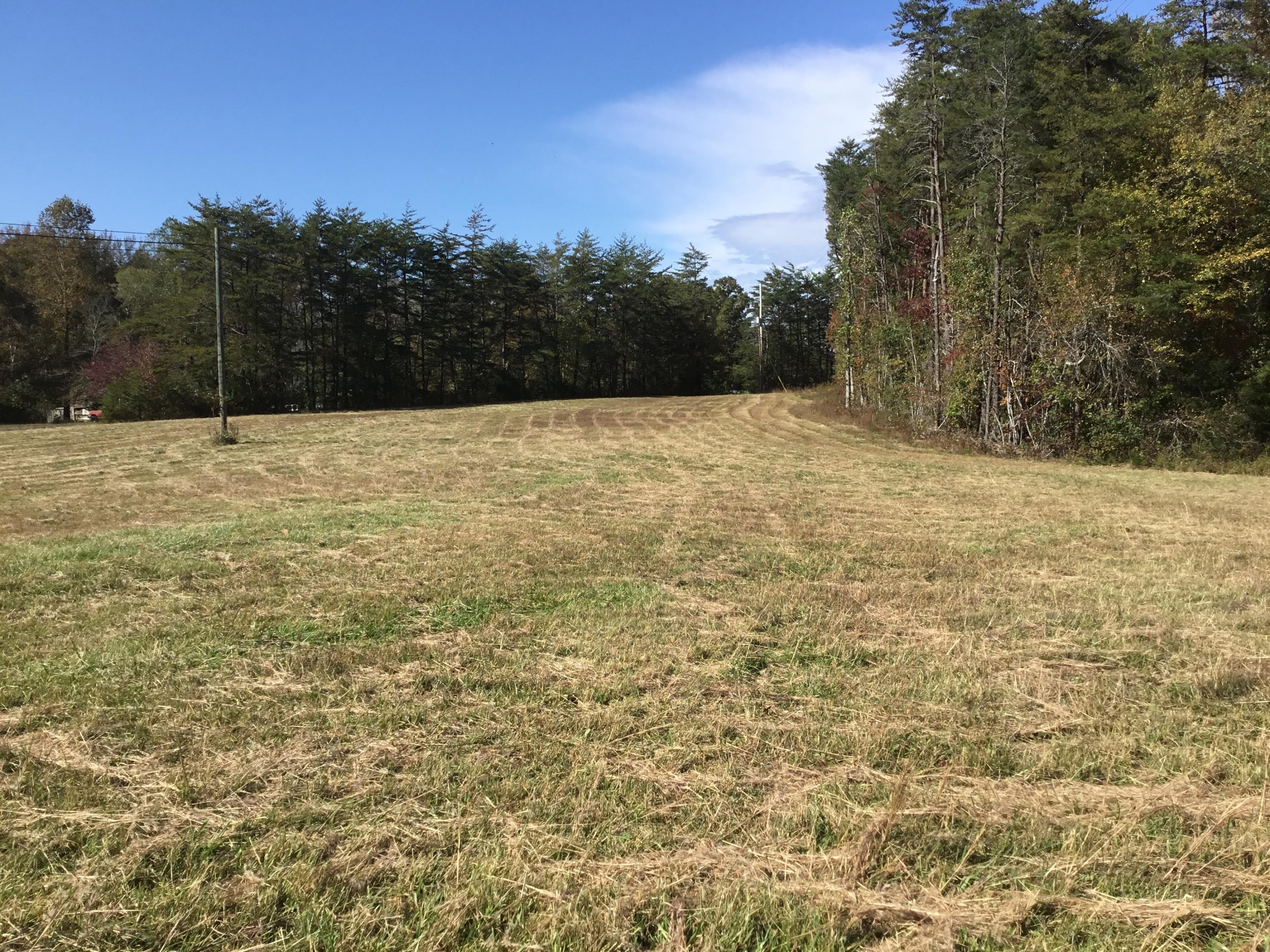 7259 Brockdell Road Pikeville, TN 37367 - Photo 22 of 23 IMG_3827