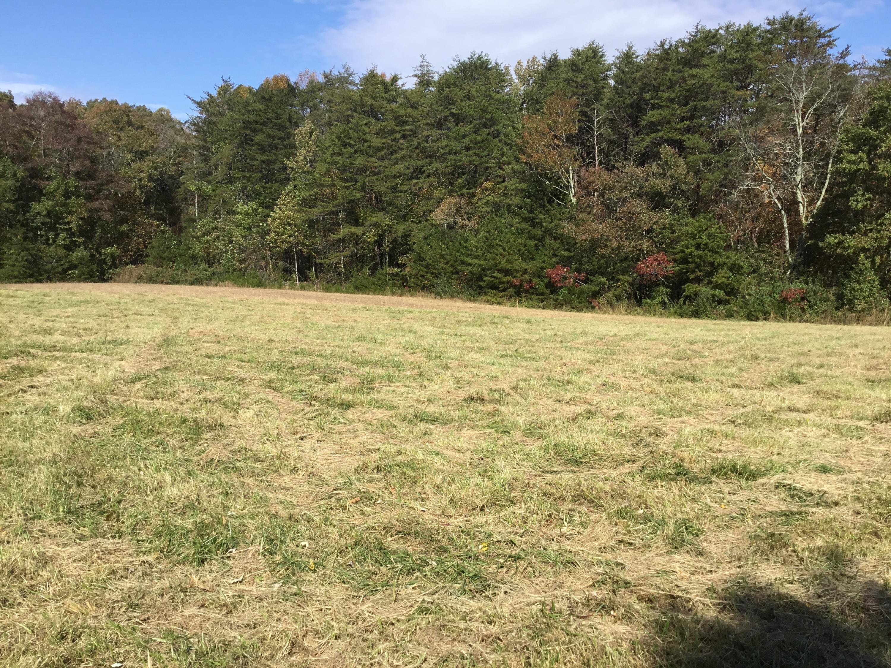 7259 Brockdell Road Pikeville, TN 37367 - Photo 6 of 23 IMG_3823