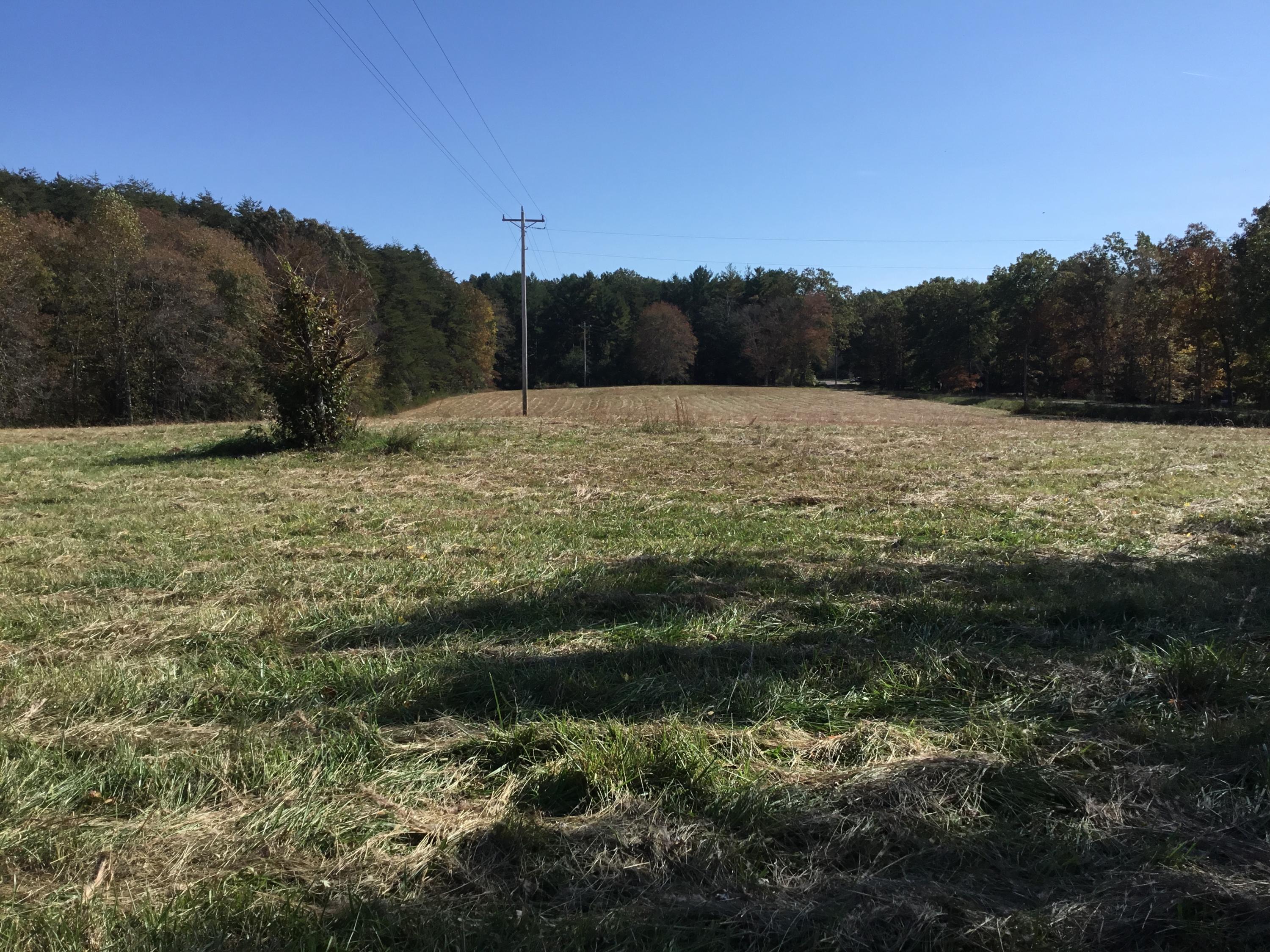 7259 Brockdell Road Pikeville, TN 37367 - Photo 8 of 23 IMG_3825