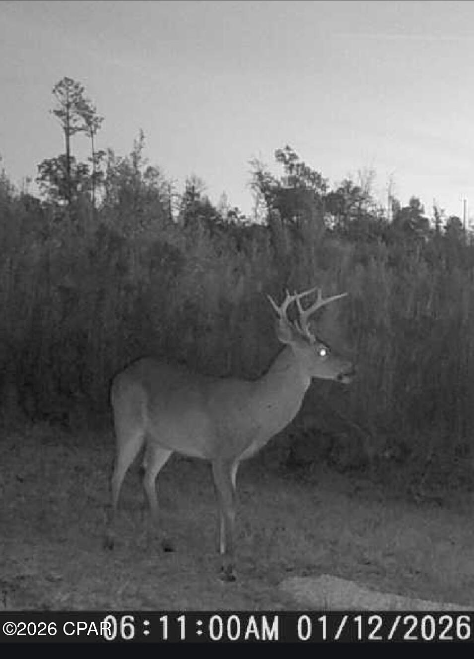 Tbd Sinai Road Sneads, FL 32460 - Photo 28 of 29 Gallery Image 28