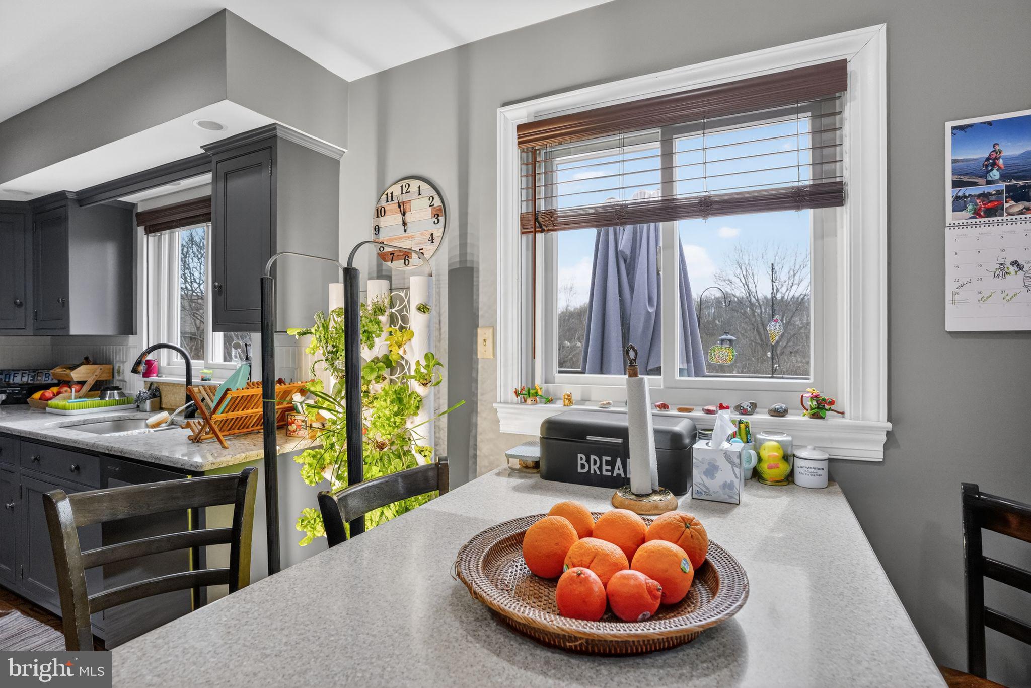 356 Styer Road Glenmoore, PA 19343 - Photo 5 of 41