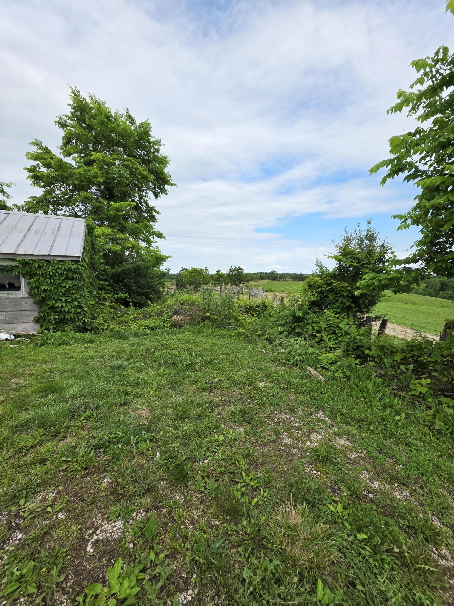 235 Leaning Oak Road Corinth, KY 41010 - Photo 11 of 15
