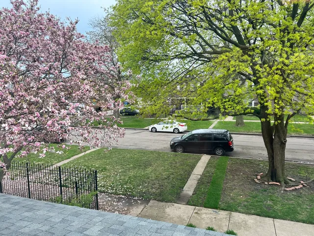 $250,000 | 8720 South Michigan Avenue, Chicago, IL 60619