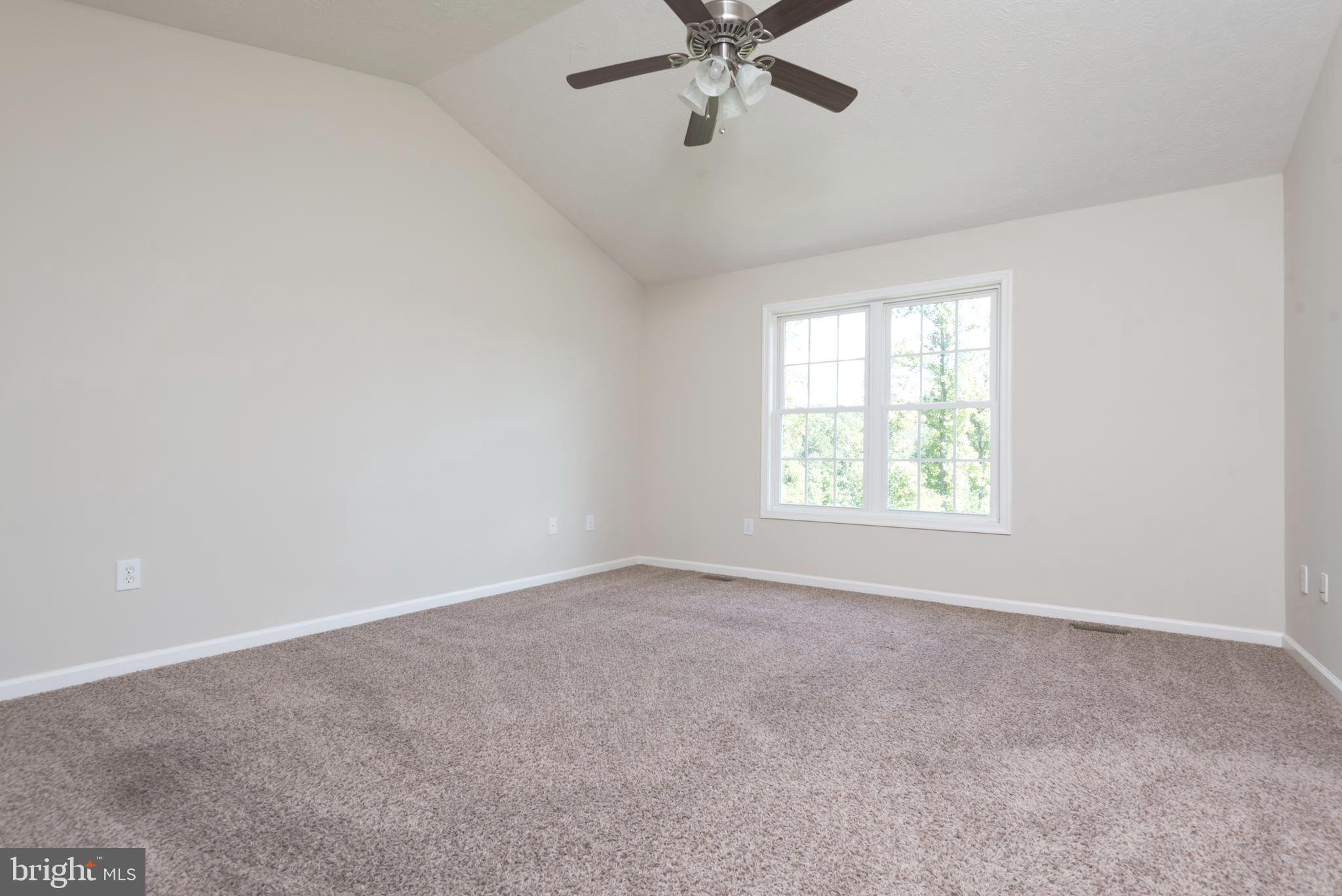 21085 Old Mill Road Culpeper, VA 22701 - Photo 5 of 31 Primary Vaulted Bd
