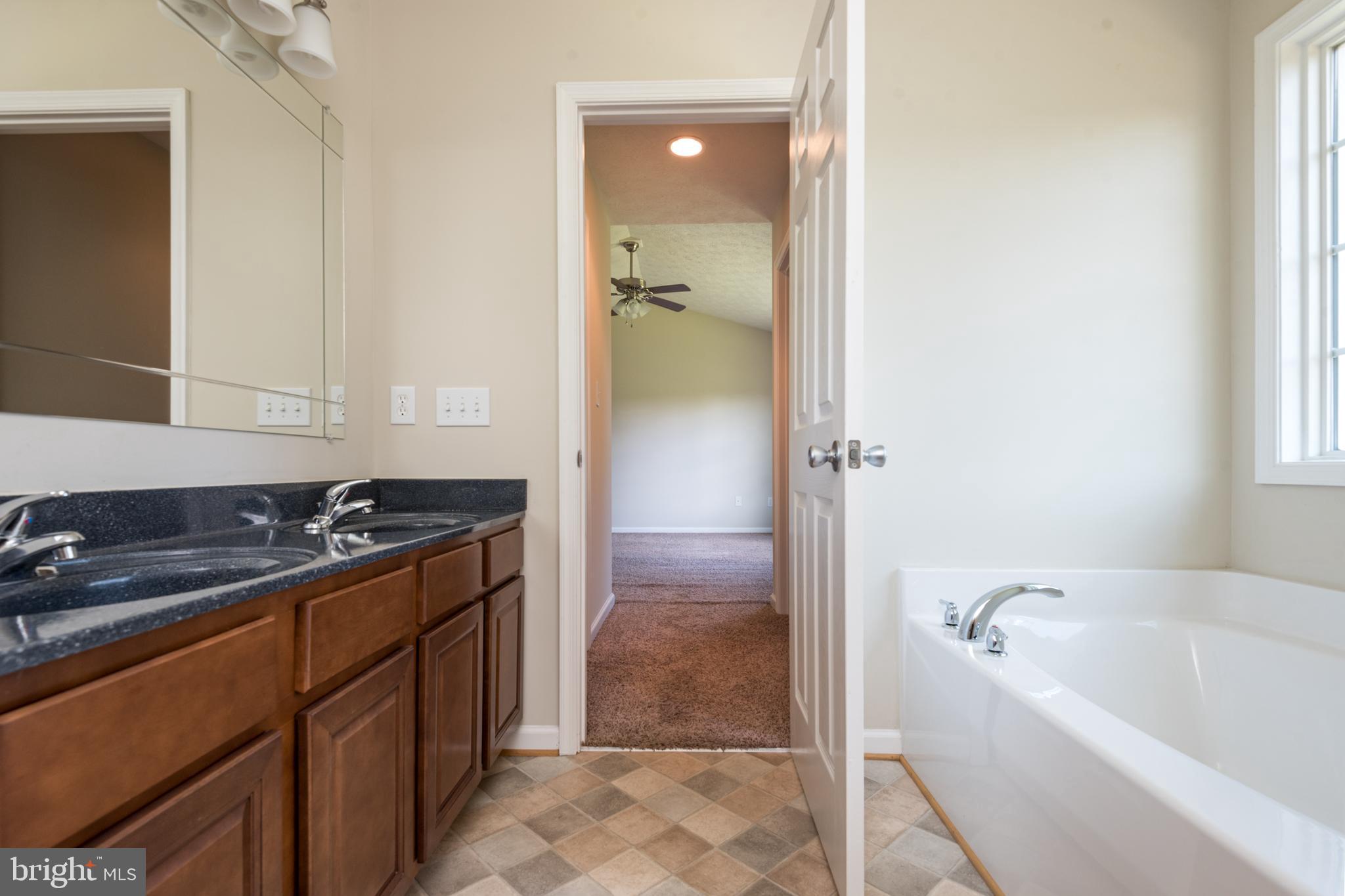21085 Old Mill Road Culpeper, VA 22701 - Photo 6 of 31 Primary Bath