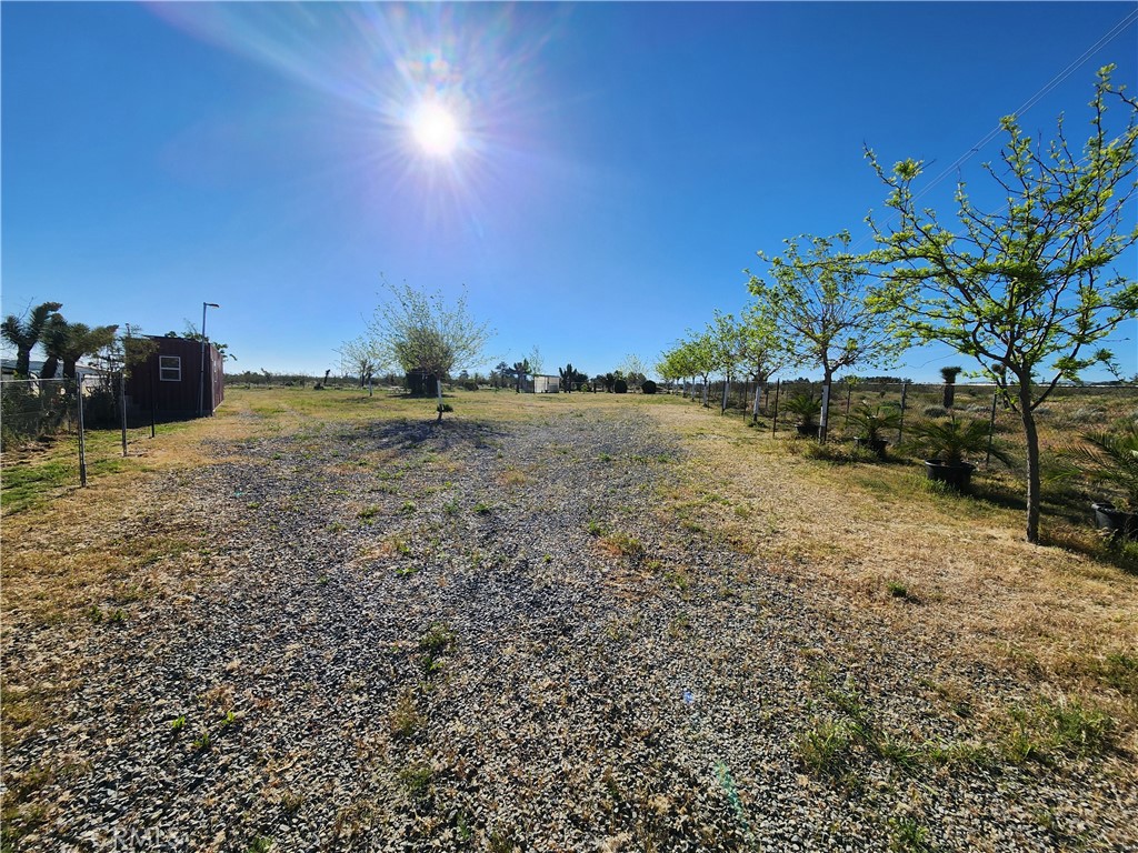 11391 Johnson Road Phelan, CA 92371 - Photo 3 of 7 a view of a yard with a tree