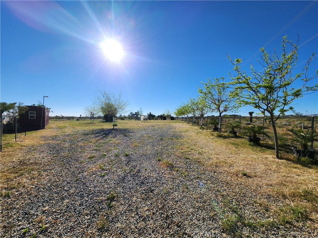 11391 Johnson Road Phelan, CA 92371 - Photo 4 of 7 a view of a yard