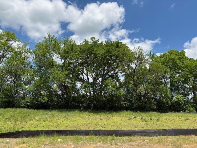 2160 Mackinac Bend Gallatin, TN 37066 - Photo 8 of 34