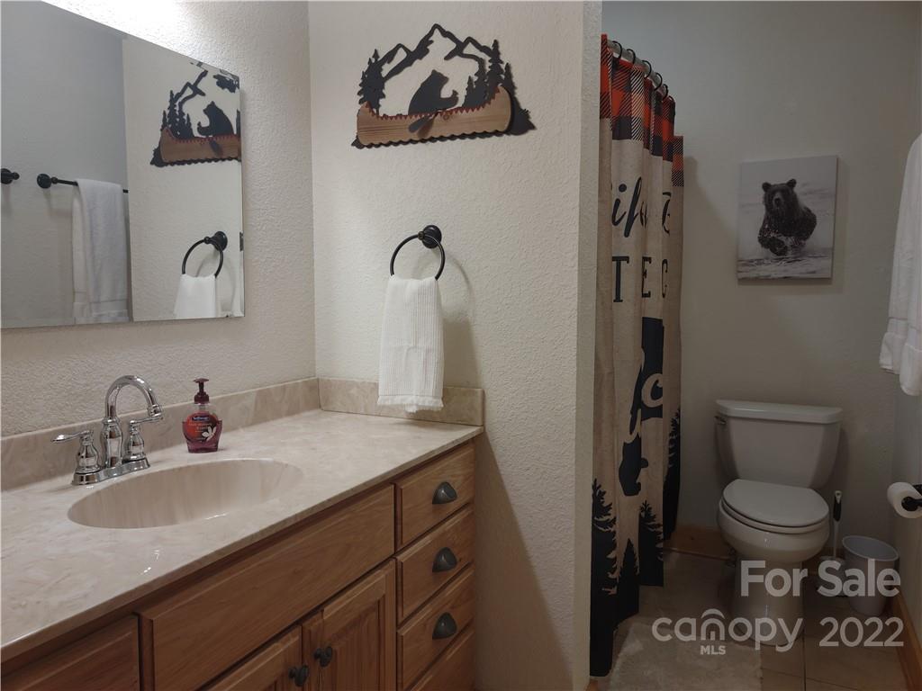 101 Trinity Drive Clyde, NC 28721 - Photo 22 of 48