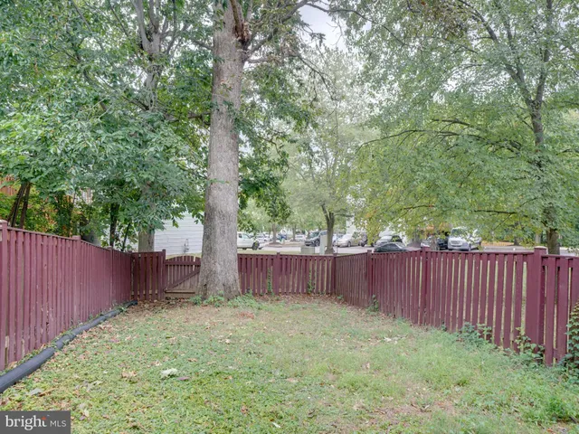 a view of a backyard with large trees and wooden fence