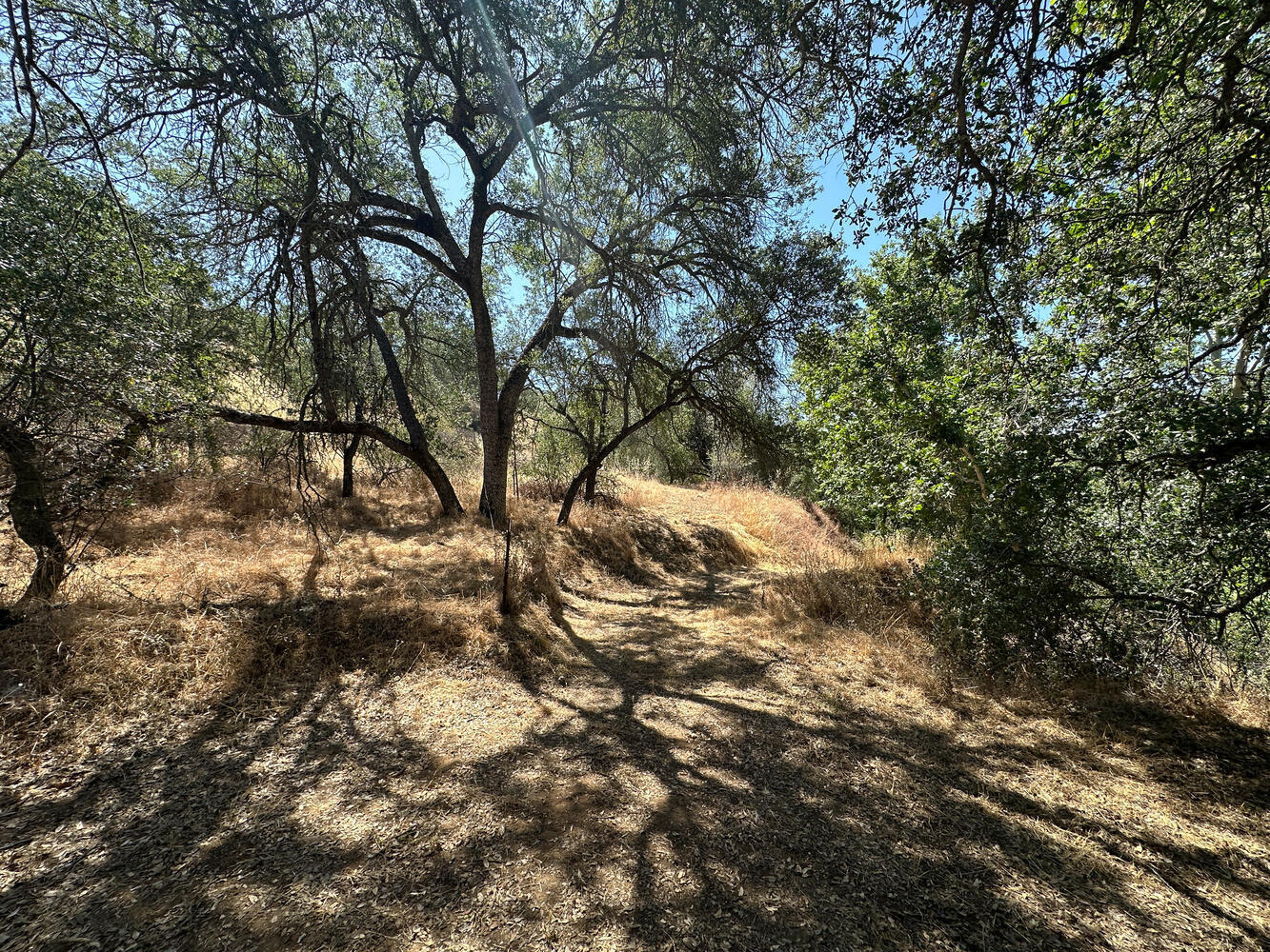 0 North Kaweah River Drive Three Rivers, CA 93271 - Photo 58 of 78 40846 Sierra Dr Three Rivers-large-004-0