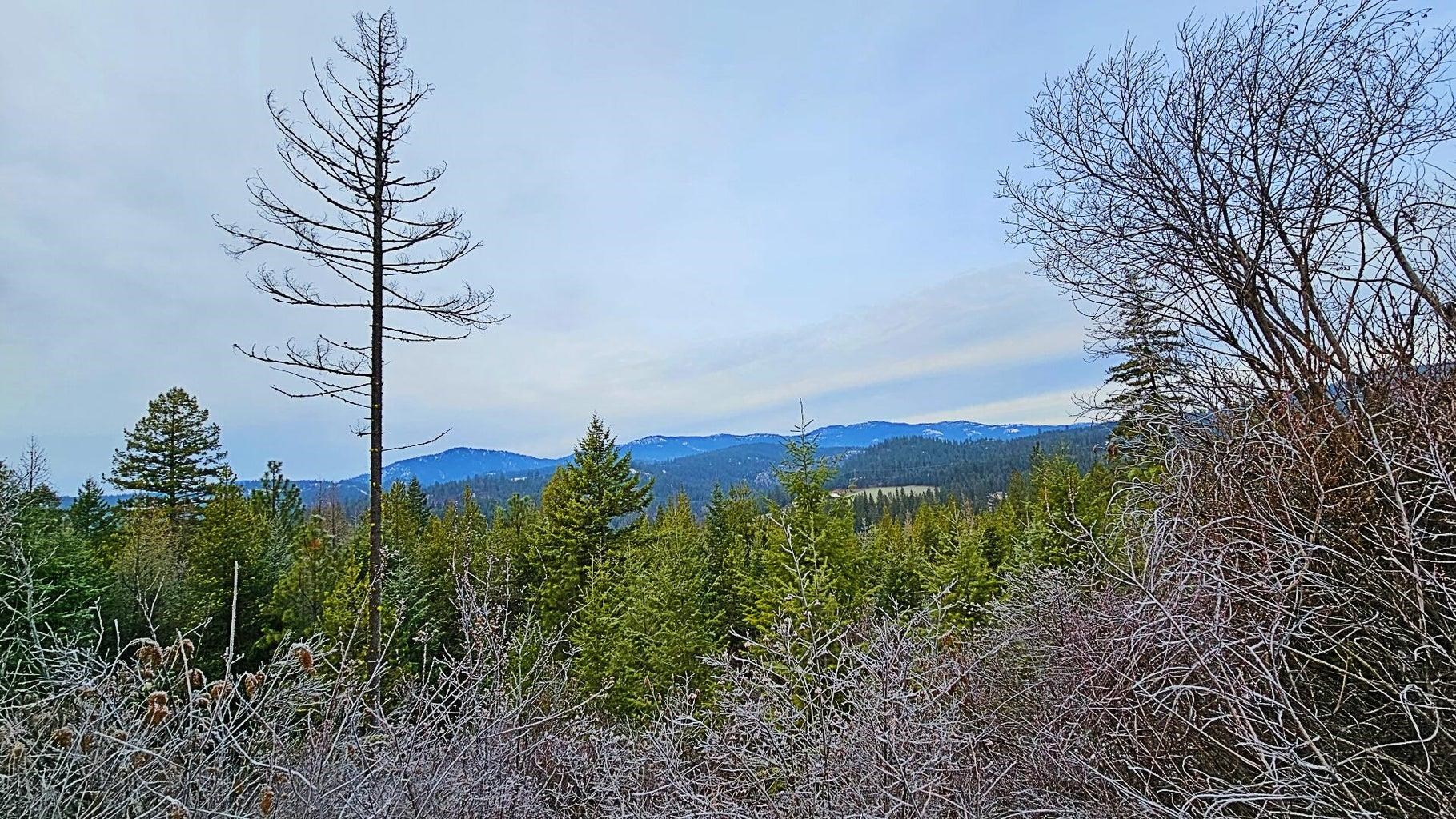 26-xx B Burnt Valley Road Chewelah, WA 99109 - Photo 11 of 11