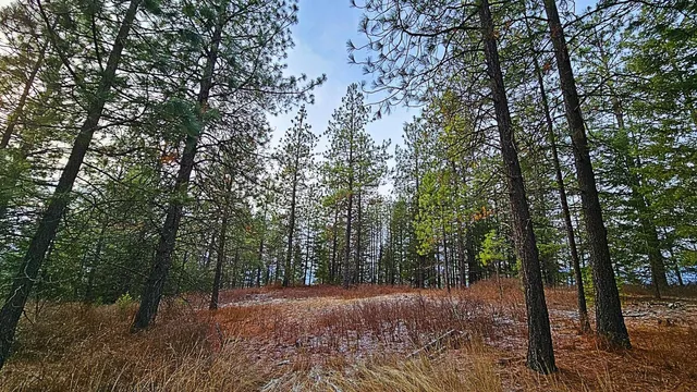 $110,000 | 26-xx B Burnt Valley Road, Chewelah, WA 99109