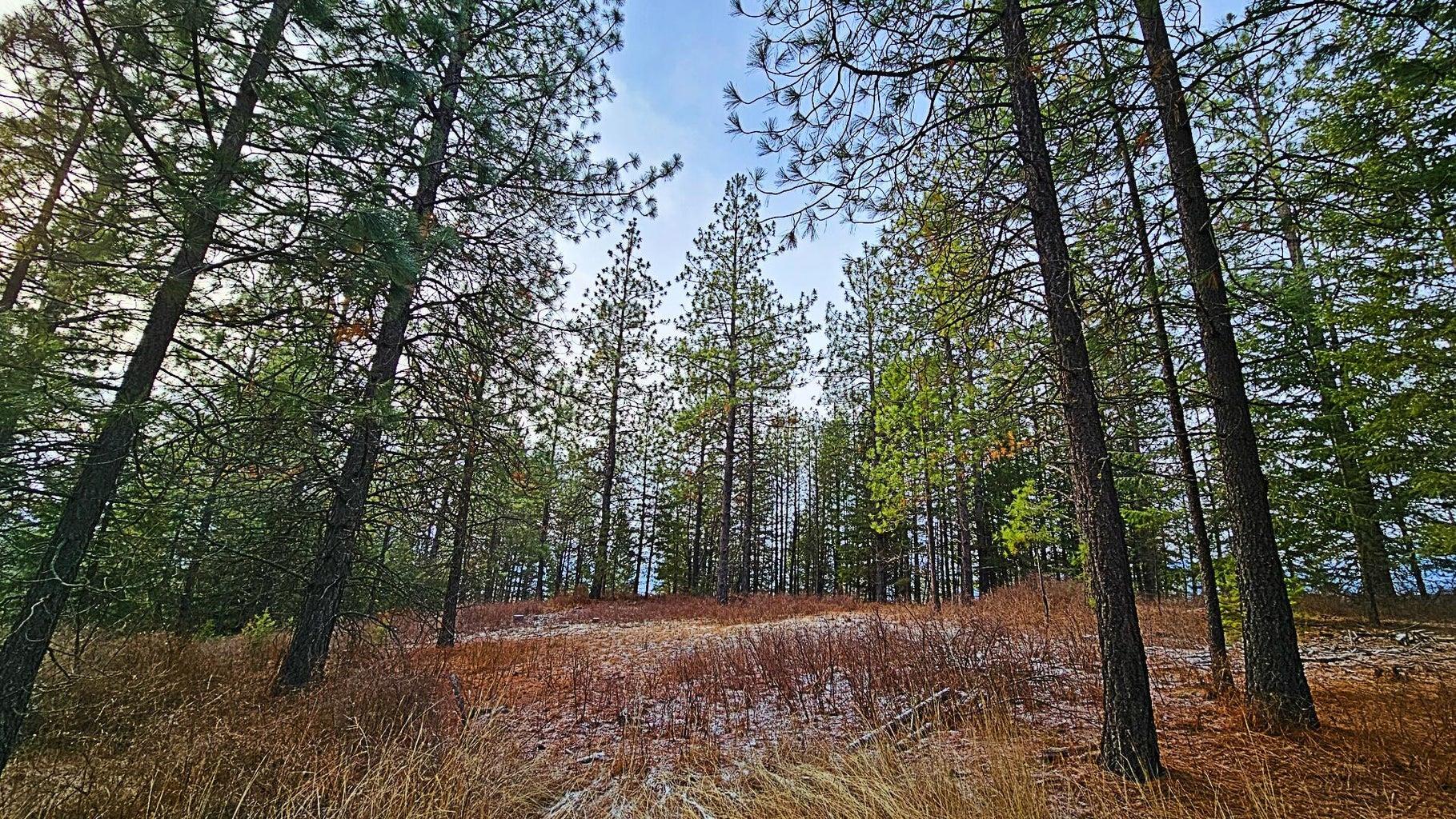 26-xx B Burnt Valley Road Chewelah, WA 99109 - Photo 3 of 11