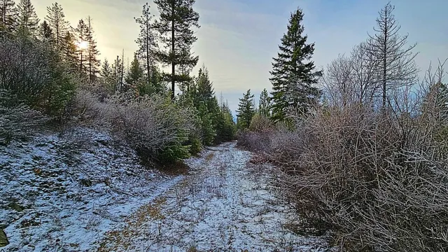 $110,000 | 26-xx B Burnt Valley Road, Chewelah, WA 99109