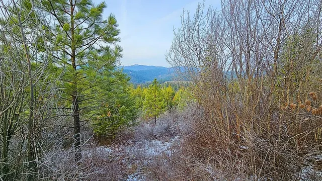 $110,000 | 26-xx B Burnt Valley Road, Chewelah, WA 99109