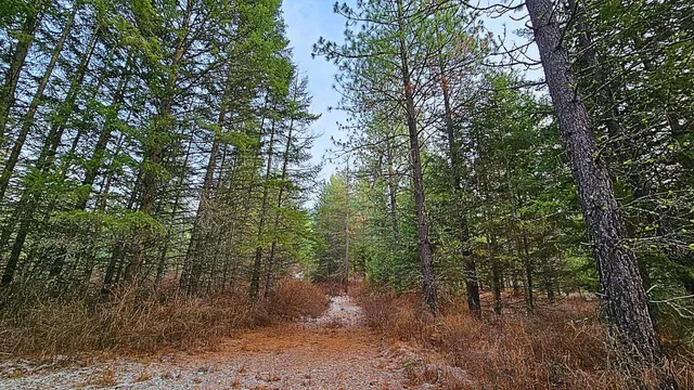 $110,000 | 26-xx B Burnt Valley Road, Chewelah, WA 99109