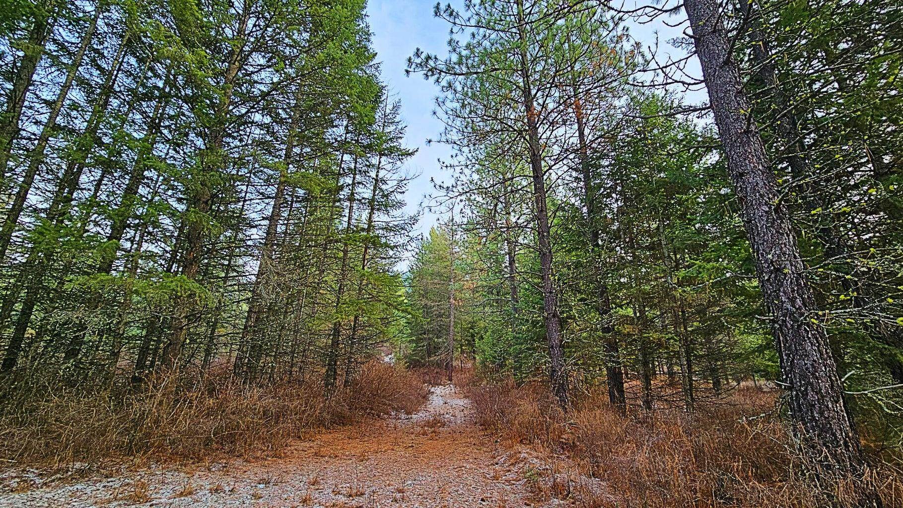 26-xx B Burnt Valley Road Chewelah, WA 99109 - Photo 7 of 11