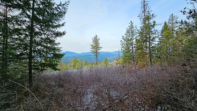 $110,000 | 26-xx B Burnt Valley Road, Chewelah, WA 99109