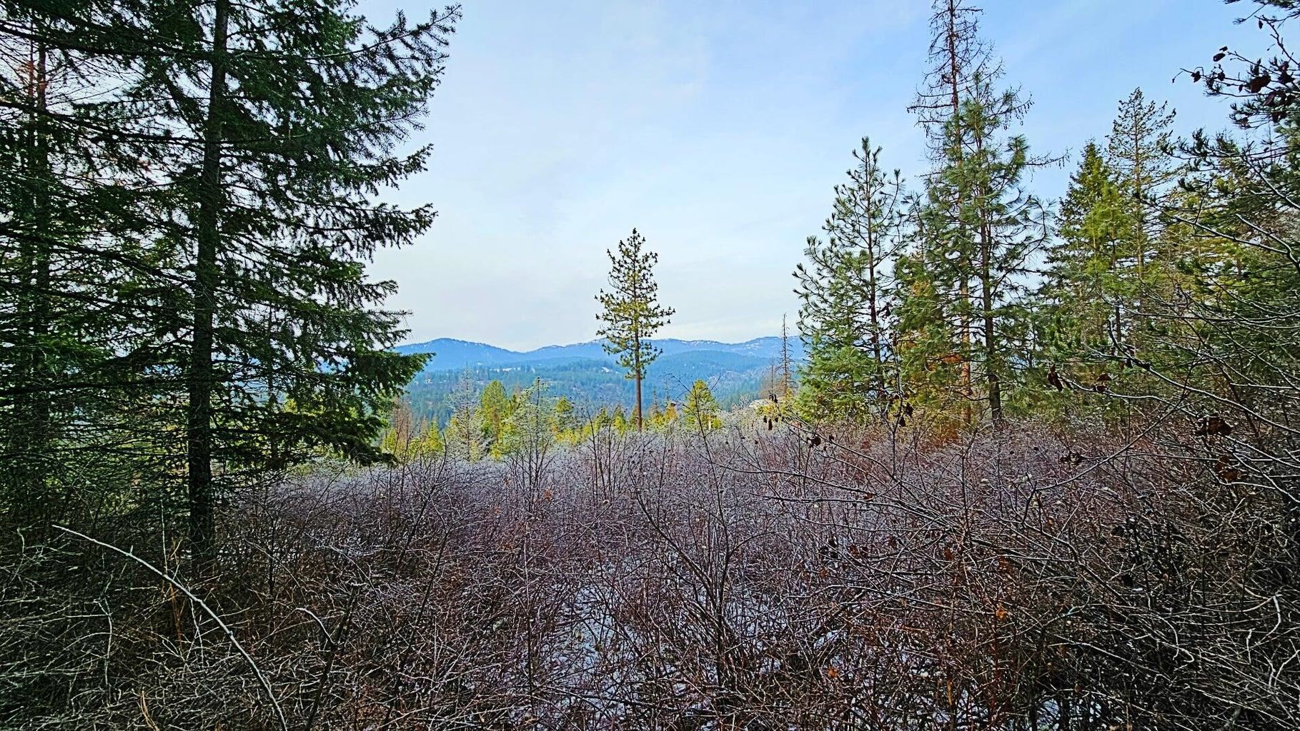 26-xx B Burnt Valley Road Chewelah, WA 99109 - Photo 8 of 11