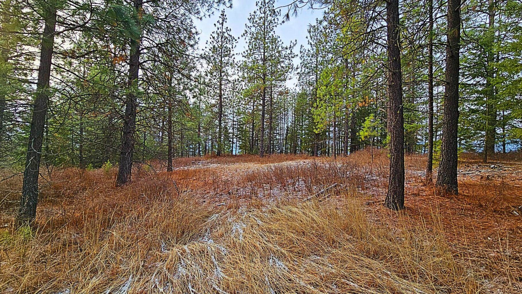 26-xx B Burnt Valley Road Chewelah, WA 99109 - Photo 9 of 11