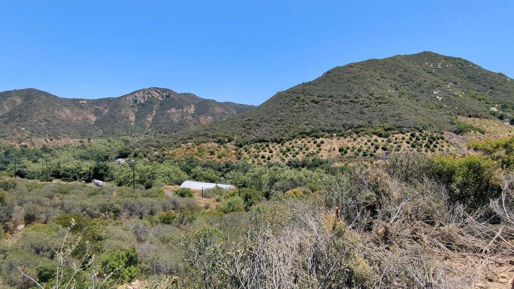 0 De Luz Murrieta Road Fallbrook, CA 92028 - Photo 10 of 11 a view of a large mountain with trees in the background