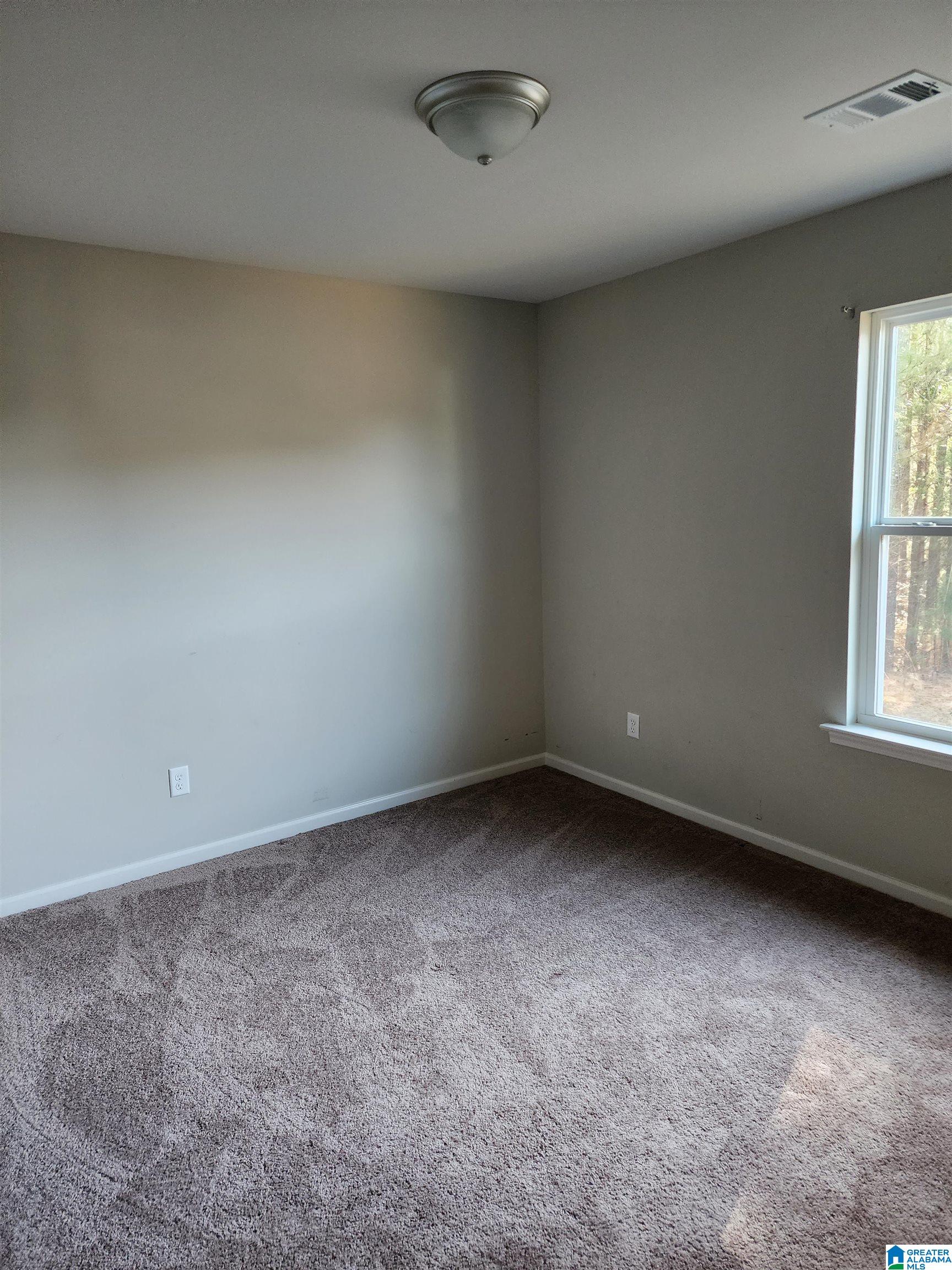 16112 Stone Ridge Parkway Brookwood, AL 35444 - Photo 31 of 60