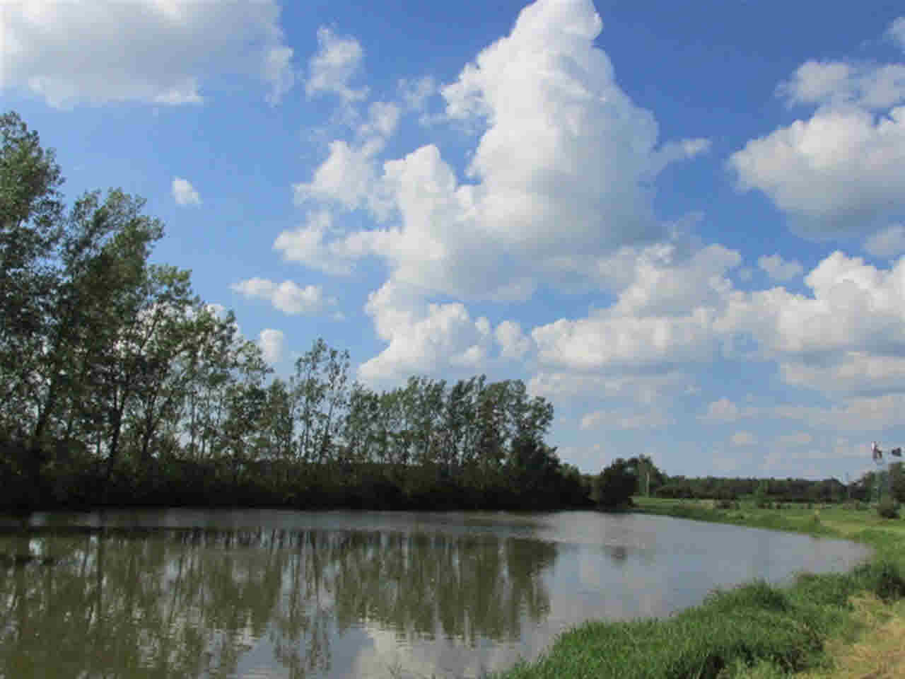 12095 East Gregory Road Albany, IN 47320 - Photo 19 of 30
