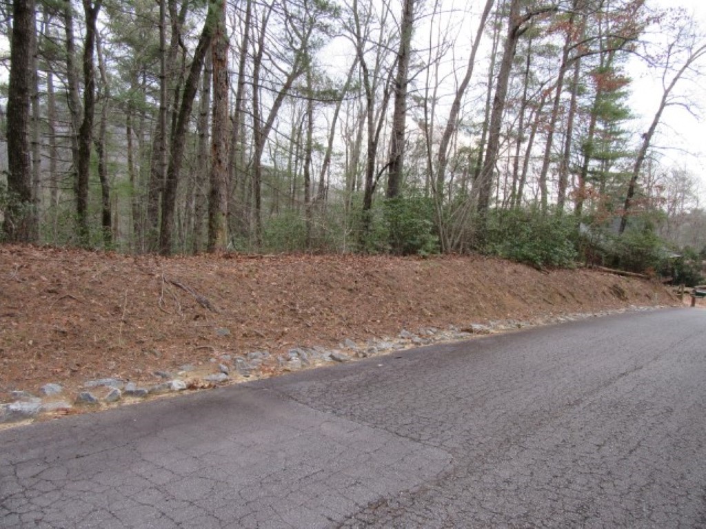 430 Whispering Falls Road Pickens, SC 29671 - Photo 1 of 23 Gallery Image 1