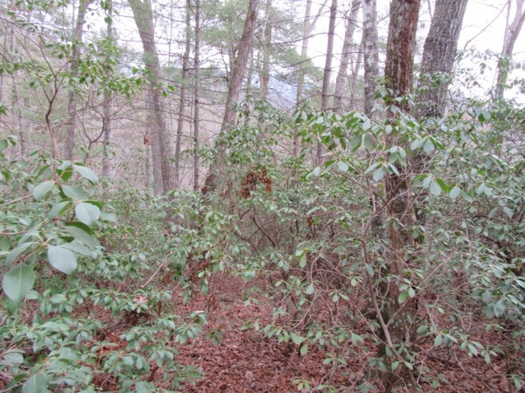 430 Whispering Falls Road Pickens, SC 29671 - Photo 14 of 23 Gallery Image 14