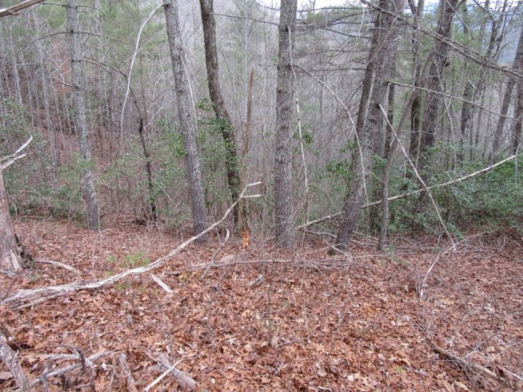 430 Whispering Falls Road Pickens, SC 29671 - Photo 3 of 23 Gallery Image 3