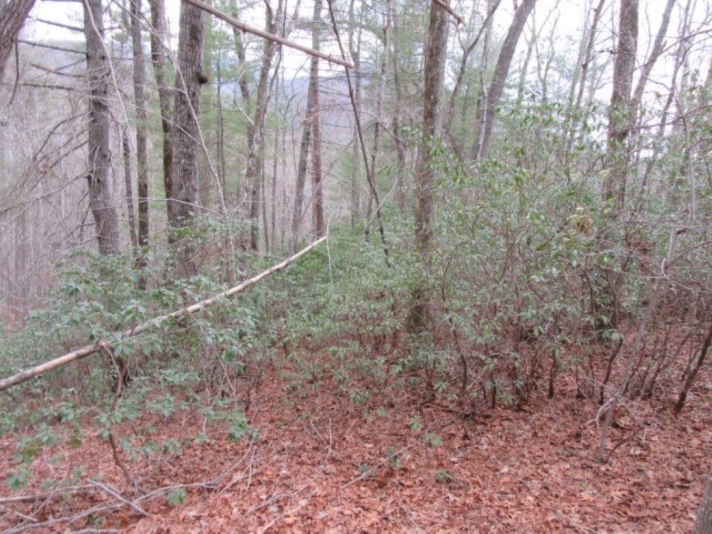 430 Whispering Falls Road Pickens, SC 29671 - Photo 5 of 23 Gallery Image 5