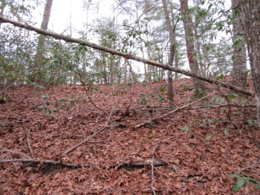 430 Whispering Falls Road Pickens, SC 29671 - Photo 8 of 23 Gallery Image 8