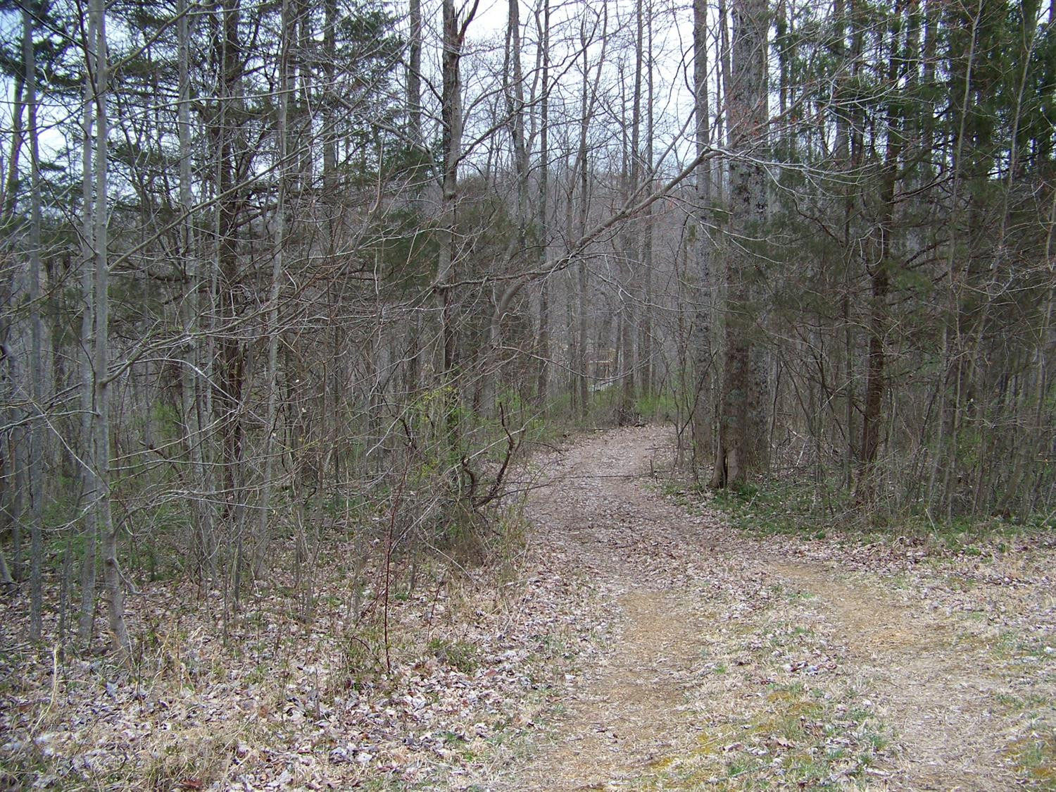 740 Horse Ridge Road Stanford, KY 40484 - Photo 6 of 22 Listing Photo