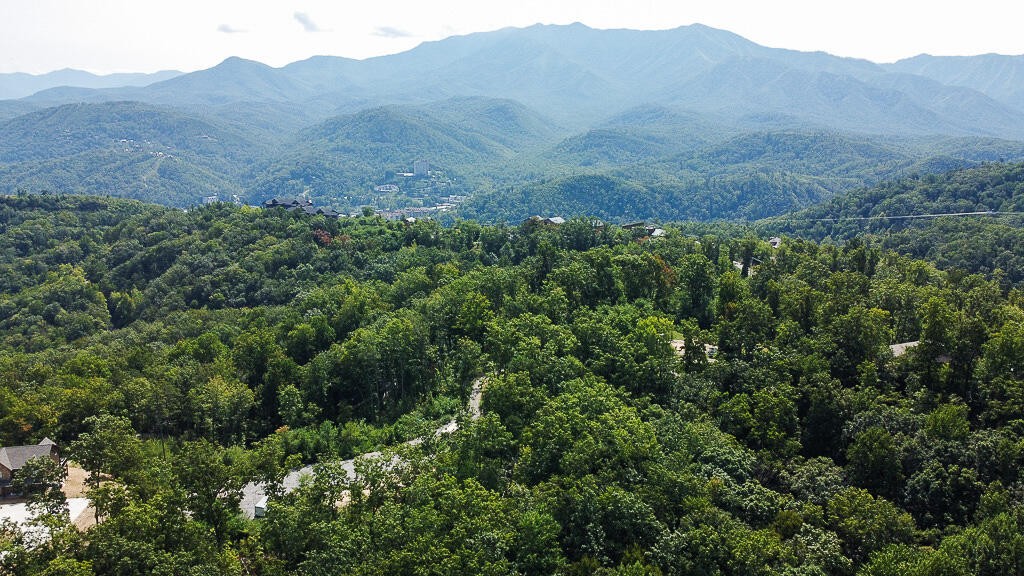 1468 Laurel Road Gatlinburg, TN 37738 - Photo 5 of 40 Gallery Image 5